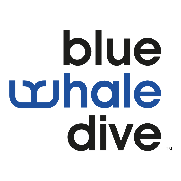 Buceo Mar Rojo • Blue Whale Dive • Logo